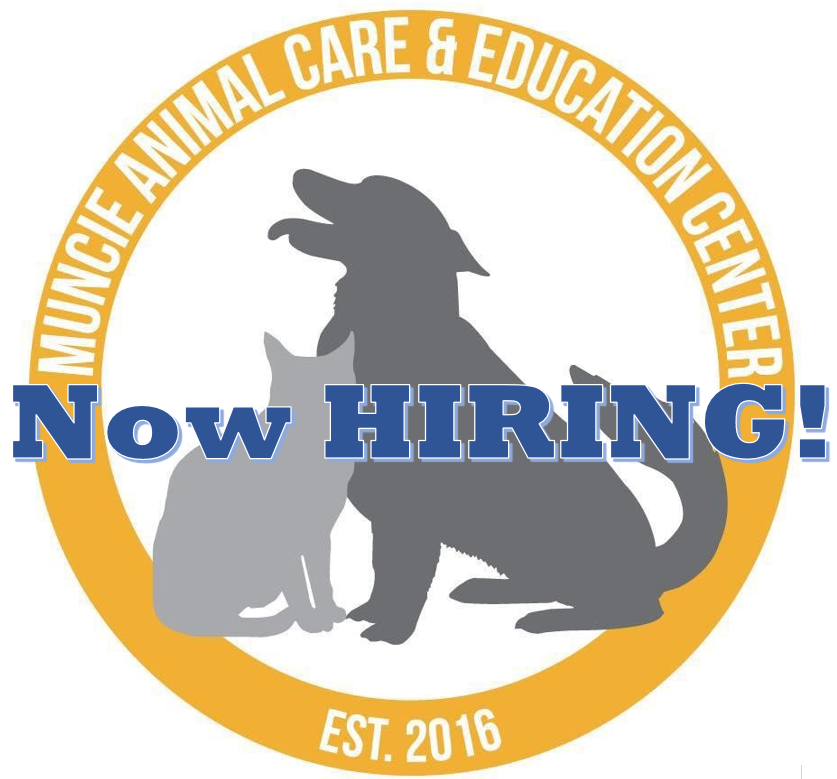 MACS Now Hiring