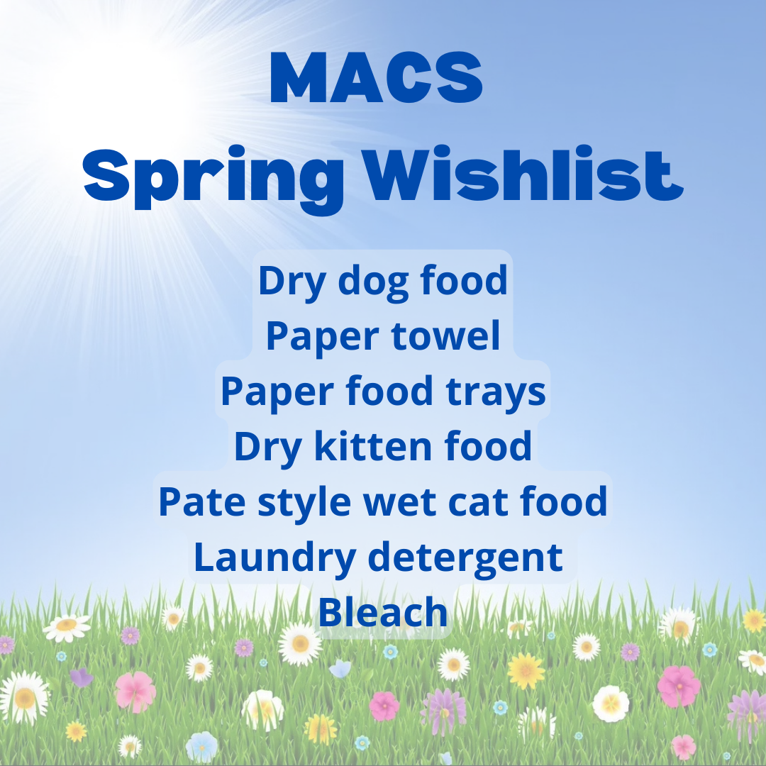MACS Spring Wishlist
